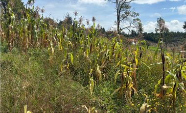 Lote para la venta en Tuta, Boyacá para la venta