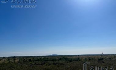 Rancho el Carmen en Venta, Aldama Tamaulipas.