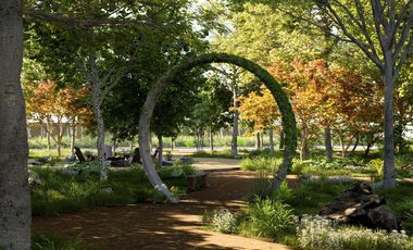 LOTES RESIDENCIALES TOTEM EN ETAPA ATELUS EN LAS PLAYAS PLATINO DE CELESTÚN.