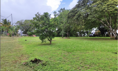 ARRAIJAN / NUEVO EMPERADOR / 2494M / TERRENO PLANO / SOBRE VIA