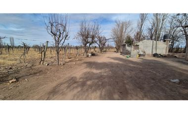 VENTA FINCA DE 72 HAS EN ISLA GRANDE, SAN ROQUE – MAIPÚ, MZA