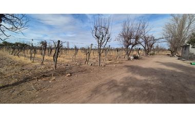 VENTA FINCA DE 72 HAS EN ISLA GRANDE, SAN ROQUE – MAIPÚ, MZA