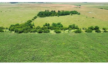 Campo en venta de 122 Has. mixto en Ranchos