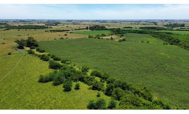 Campo en venta de 122 Has. mixto en Ranchos