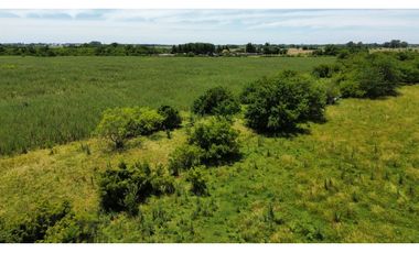 Campo en venta de 122 Has. mixto en Ranchos