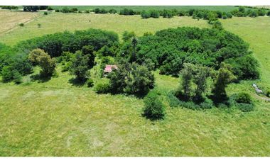 Campo en venta de 122 Has. mixto en Ranchos