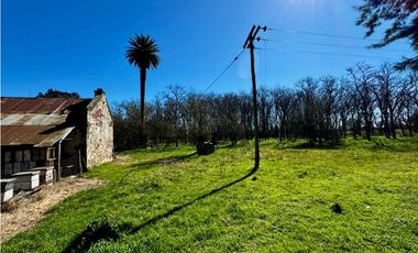 Campo en venta de 122 Has. mixto en Ranchos