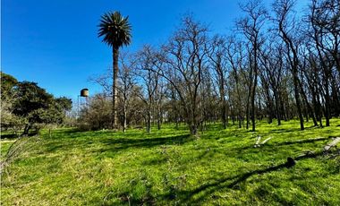 Campo en venta de 122 Has. mixto en Ranchos