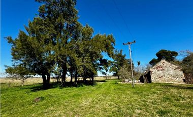 Campo en venta de 122 Has. mixto en Ranchos