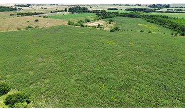 Campo en venta de 122 Has. mixto en Ranchos