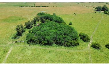 Campo en venta de 122 Has. mixto en Ranchos