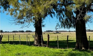 Campo en venta de 122 Has. mixto en Ranchos