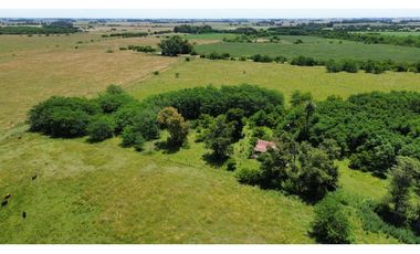 Campo en venta de 122 Has. mixto en Ranchos