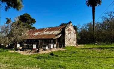 Campo en venta de 122 Has. mixto en Ranchos