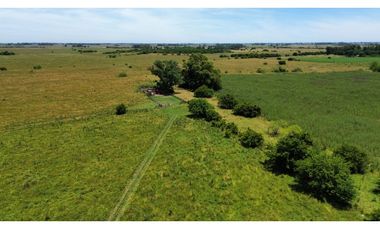 Campo en venta de 122 Has. mixto en Ranchos
