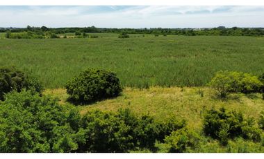 Campo en venta de 122 Has. mixto en Ranchos