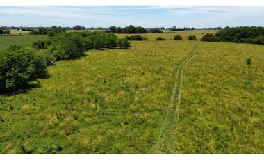 Campo en venta de 122 Has. mixto en Ranchos