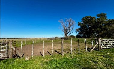 Campo en venta de 122 Has. mixto en Ranchos
