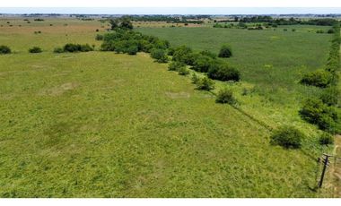 Campo en venta de 122 Has. mixto en Ranchos