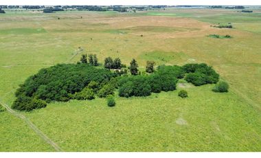 Campo en venta de 122 Has. mixto en Ranchos