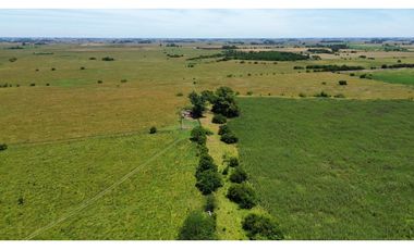 Campo en venta de 122 Has. mixto en Ranchos