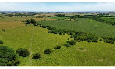 Campo en venta de 122 Has. mixto en Ranchos
