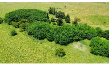 Campo en venta de 122 Has. mixto en Ranchos