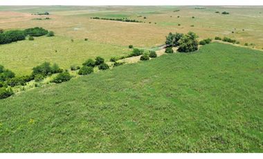 Campo en venta de 122 Has. mixto en Ranchos