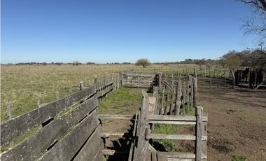 Campo en venta de 122 Has. mixto en Ranchos