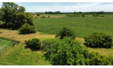 Campo en venta de 122 Has. mixto en Ranchos