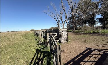 Campo en venta de 122 Has. mixto en Ranchos
