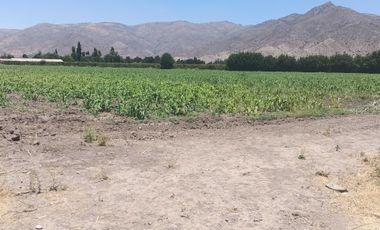 Parcela en venta en LOS ANDES