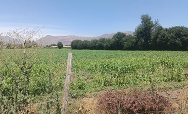 Parcela en venta en LOS ANDES