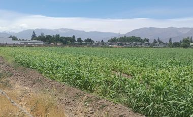 Parcela en venta en LOS ANDES