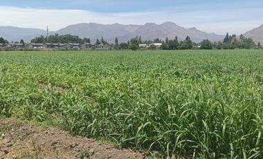 Parcela en venta en LOS ANDES