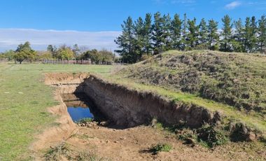 10 HECTÁREAS EN NIQUÉN  APTO PARA LOTEO DE 20 PARCELAS