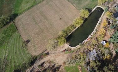 10 HECTÁREAS EN NIQUÉN  APTO PARA LOTEO DE 20 PARCELAS