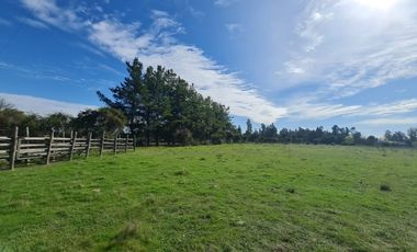 10 HECTÁREAS EN NIQUÉN  APTO PARA LOTEO DE 20 PARCELAS