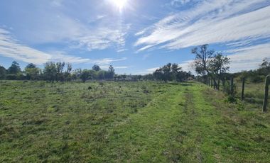 10 HECTÁREAS EN NIQUÉN  APTO PARA LOTEO DE 20 PARCELAS