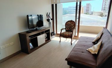 1 DORMITORIO MPLIA TERRAZA EN EL CENTRO, SIN ESTACIONAMIENTO