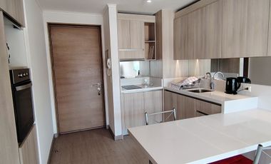 1 DORMITORIO MPLIA TERRAZA EN EL CENTRO, SIN ESTACIONAMIENTO