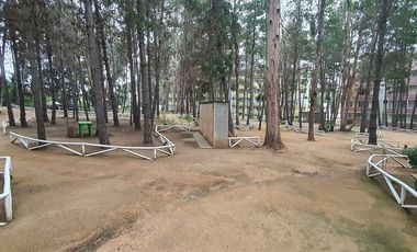 Depto 3d+1b 50m2 Amoblado Estacionamiento Cond. Bdt Etap