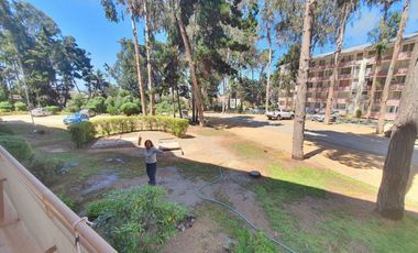 Depto 3d+1b Con Patio, Amoblado Y Estacionamiento.