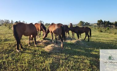 Parcela en venta ubicado en Florida