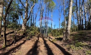 En venta moderna casa nueva en Pucón