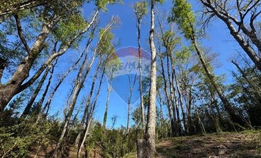 En venta moderna casa nueva en Pucón