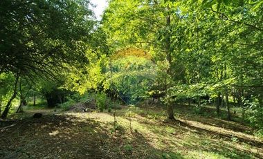 Venta Parcela Orilla Carretera Pucón Villarrica