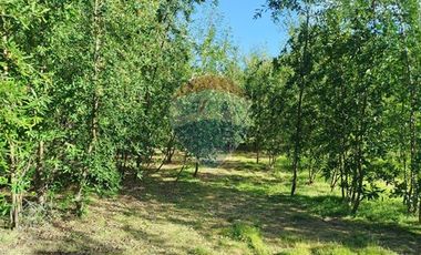 Venta Parcela Orilla Carretera Pucón Villarrica