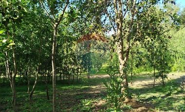 Venta Parcela Orilla Carretera Pucón Villarrica