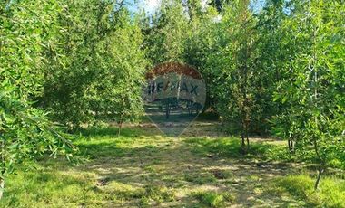 Venta Parcela Orilla Carretera Pucón Villarrica